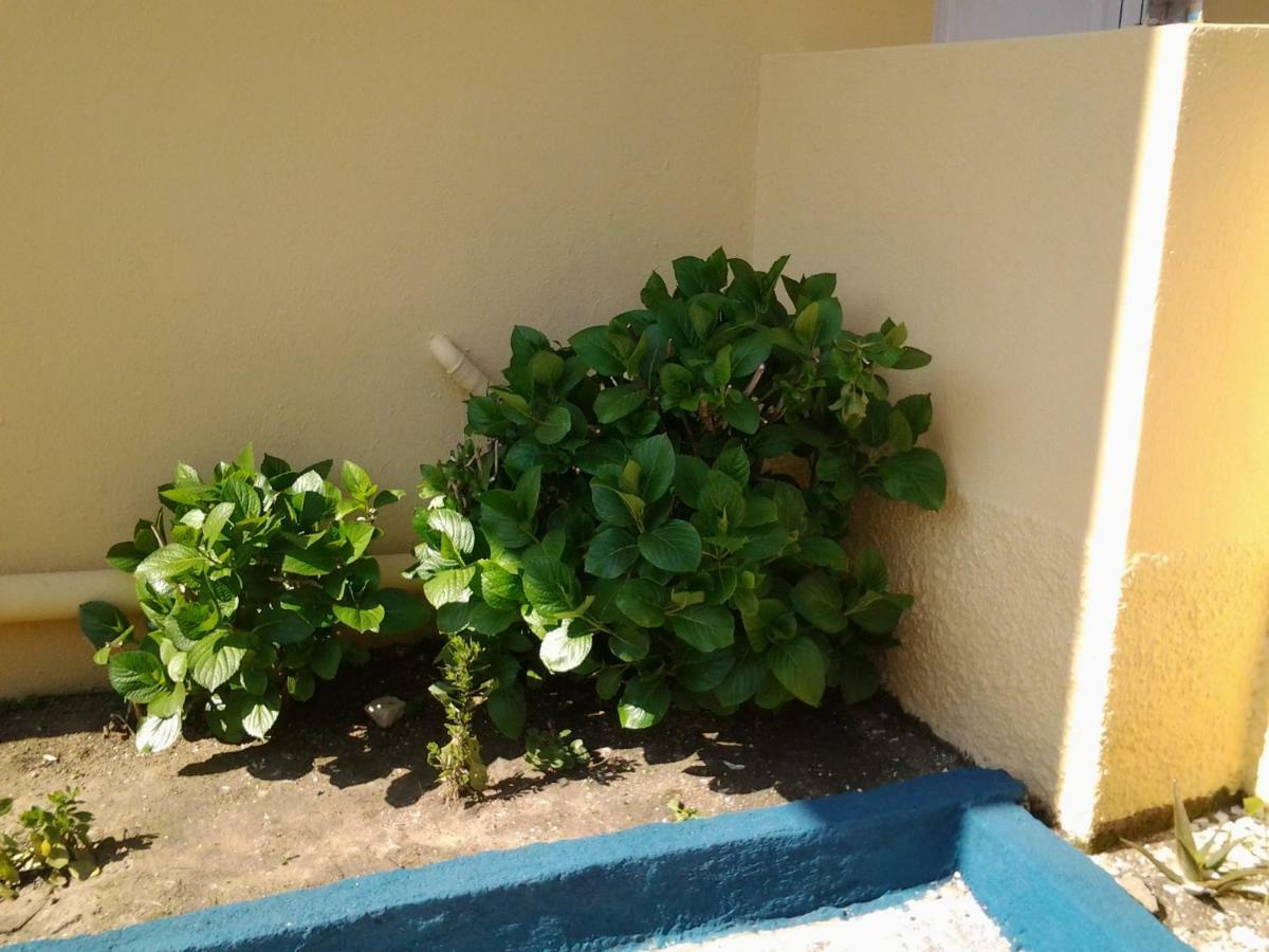 Harmony House Apartment Agia Paraskevi  Bagian luar foto